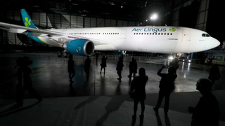 Illustration for article titled Aer Lingus gets fresh livery